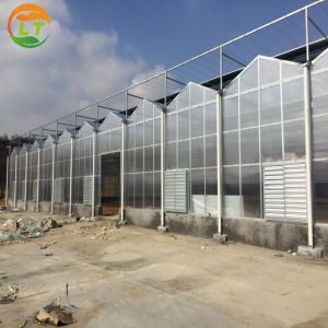 China Multi-Span Agricultural Greenhouses with Hot Galvanized Steel Transparent Solar Panels on sale