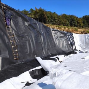 1mm 2mm Thickness Black HDPE Geomembrane Fish Pond Liner Directly Sold by for