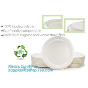 Ecofriendly Paper Pulp Sugarcane Bagasse 10" Round Plates,dessert dinner deep