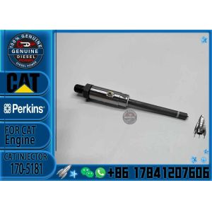 FUEL INJECTOR 1705181 170-5181 for R1300G, D7G2, D7R, 350, 350L