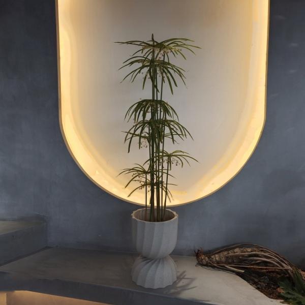 Quality UV Resistant Plastic Faux Plants Artificial Graptopetalum Tree for sale