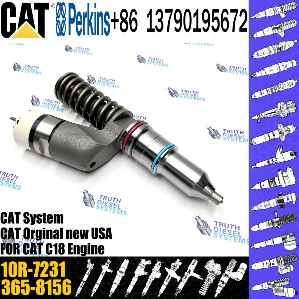 Common Rail Injector 276-8307 10R-9787 10R-7228 10R-2772 10R-7231 10R-7230 C-A-T Excavator C15 C18 Diesel Engine