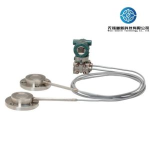 Original DP Transmitter 4 20 MA Liquid Level Instrument ExiaⅡCT6