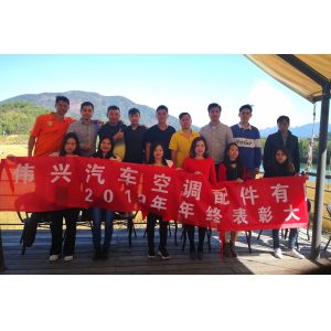 7SBH17C Auto Air Conditioner Compressor 12Volt For Ford CMAX Focus 2010-2015