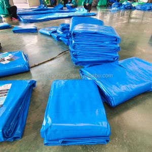 Density 6*6-16*16 PE Tarpaulin Rolls for Outdoor Tent Waterproof Poly Woven