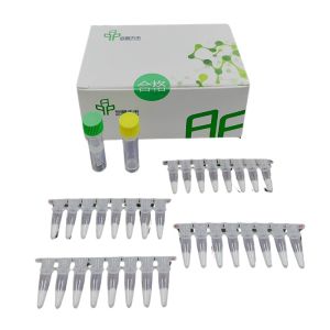 Wholesale Effective DNA EXO Isothermal PCR Kit For Reliable Detection from china suppliers