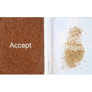 5 Tons/H Rice Color Sorter Paddy Broken Glutinous Rice Color Sorting Machine