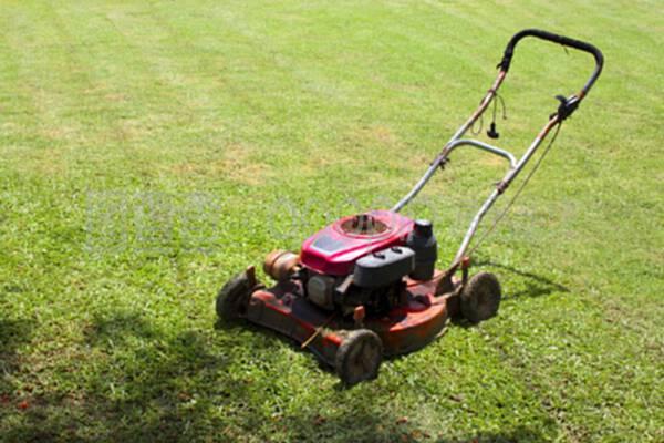 Customizable Polyester Monofilament Yarn In Vibrant Hues And Textures