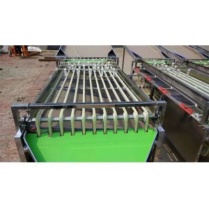 olive sorting machine, cherry tomato grading machine, dates sorting machine