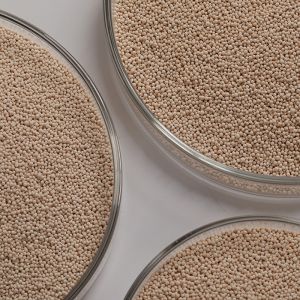 CEC Molecular Sieve Zeolite with Low Na2O Content Crush Strength 30-100N LOI 4-7