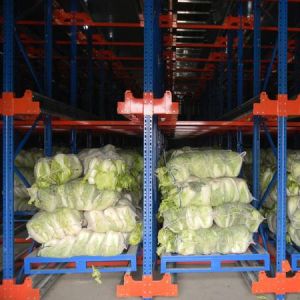 Wholesale Automatic Warehouse Shuttle System ASRS Automated Storage And Retrieval from china suppliers