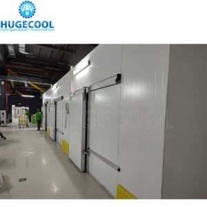 Refrigeration Equipment Walk in Cooler for Vegetables and Fruits Temperature
