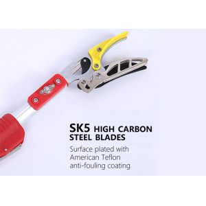 Chrome Plated Bypass Telescoping Pole Pruner For Fruit Tree Picking