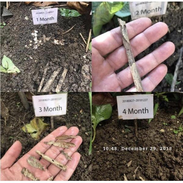 Compostable Biodegradable Bamboo Fiber Straw For Hot Cold Drinks