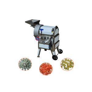 Commercial Fruit Processing Equipment / Kiwi Pear Apple Plantain Banana Chips