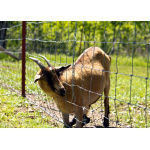 Corrosion Resistant 3ft Tall Wire Cattle Fencing For Farm