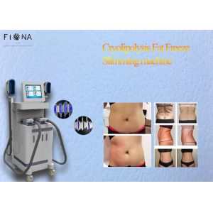 4 Cryo Handle Fat Freeze System Cryolipolysis Vacuum Machine 2500W Power