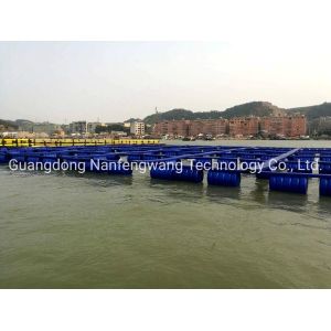 Square HDPE Floating Pontoon Fish Cage with 15 Years Lifespan and High Survival