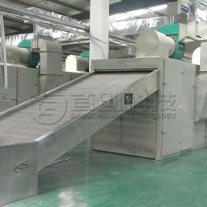 Dried Continuous Belt Drying Cabinet Hazelnut Filbert Dryer Machine
