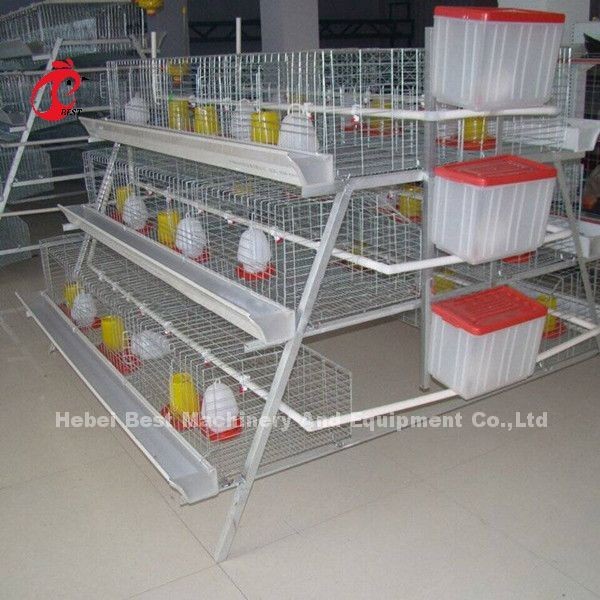Quality 3 tiers Pullet Chicken Cage For 1 Week Small Chick Brooder Cage Doris for sale