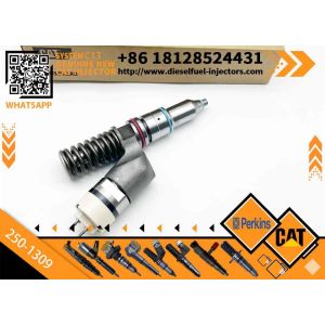 Inyectores Common Rail Diesel Fuel Injector 2501309 250-1309 10R3258 10R-3258