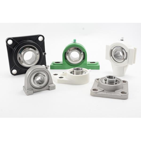 Plastic Pillow Block Housings With Stainless Steel Bearing Inserts SS UCECHPL202