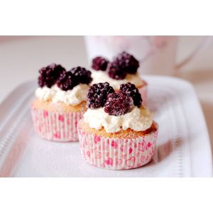 Bakery Emulsifiers - Compound Cake Improver/Emulsifier - White Powder - GB2760