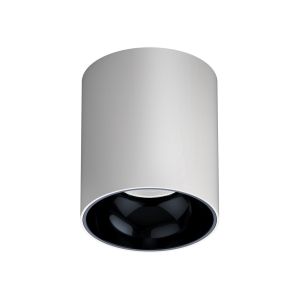 50 watts IP65 waterproof LED surface mounted downlight meanwell driver