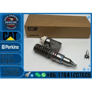 c10 injectors 10r-0963 10r0963 c12 injector 229-5918 2295918 for caterpillar cat