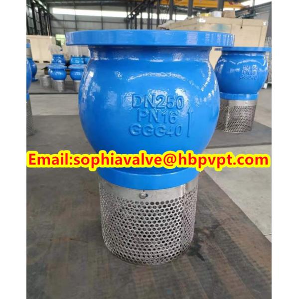 DN200 PN16 GG25 foot valve