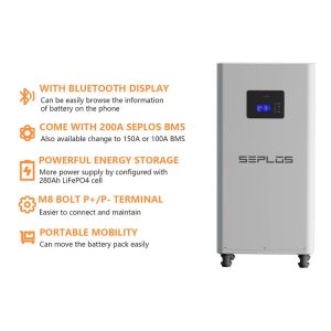 EU ORIGINAL Seplos 3.0 Bms 48V 280ah With 2A Active Balancer DIY Battery Kits
