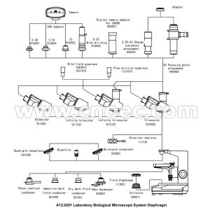 Biological Microscope Plan Objective 40X - 1000X With CE A12.0201