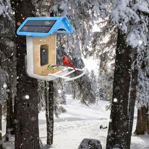 House Standing Solar Powered Smart Bird Feeder with Trail Camera