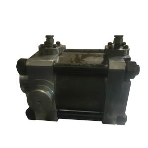 Custom Hydraulic Cylinder 25MPa 300mm Stroke Dual Action