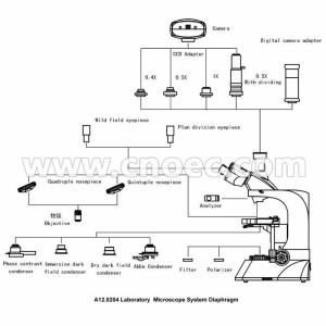 WF10X Cordless Polarizing Compound Optical Microscope Trinocular A12.0204