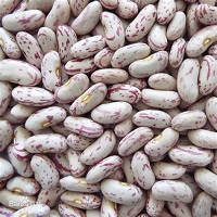 AI Variable Control Hawk eye Camera Grain Color Sorter