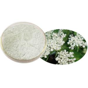 Sex Product Snowparsley Extract ---Cnidium Monnieri (L.) Cuss