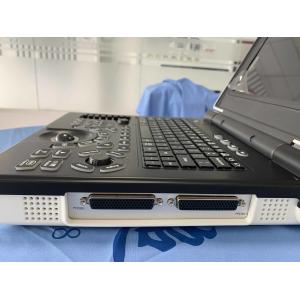 Windows7 Laptop Doppler Ultrasound Machine Imaging 12in With Dual Transducer