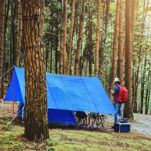 Wholesale 50-300gsm Fire Retardant Blue PE Tarpaulin Heavy Duty Covering with LDPE Coating from china suppliers