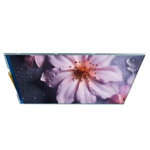 6.98 Inch Industrial Custom IPS TFT LCD Module Manufacturers