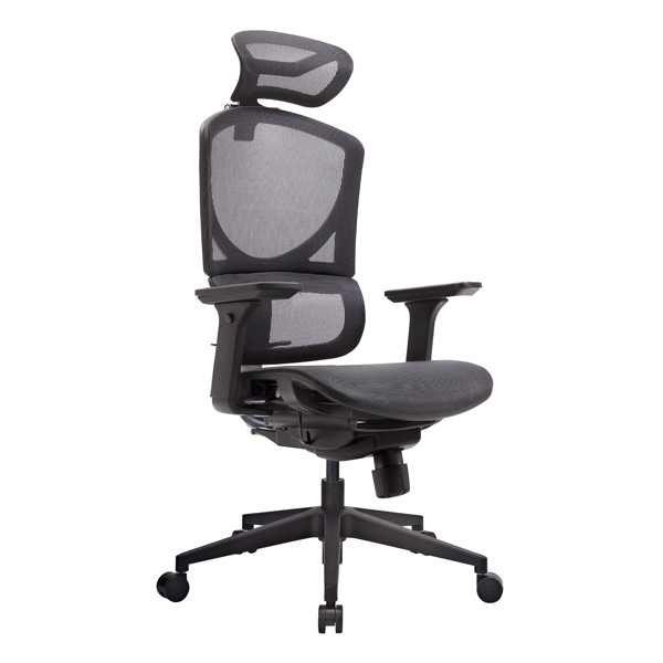 ISEE Double Split Back Ergonomic Mesh Office Chairs Lumbar Support Swivel