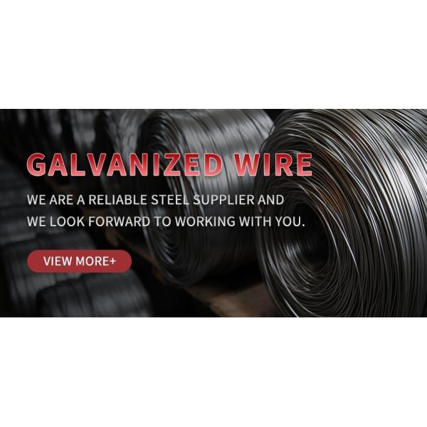 Galvanized Steel Wire/Galvanized Binding Wire/Steel Iron Wire