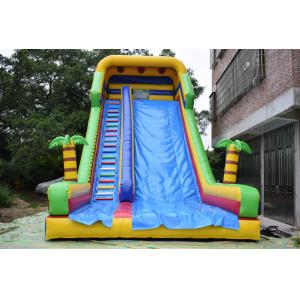 Simple Large Inflatable Dry Slide / Bright Colour Palm Tree Slides
