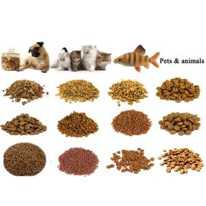 Power 55kw Food Processing Machines Pet Food Feed Pellet Machine