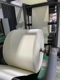 190/210 GSM Single PE Coated Cup Paper Roll for Coffee Cup Recycled Raw Material