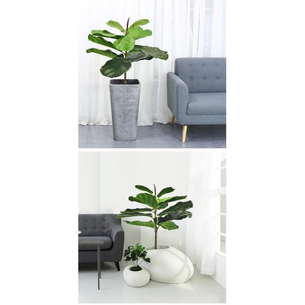 Harmless Artificial Ficus Lyrata 65cm Indoor Potted Plant For Garden Decor