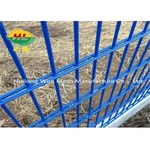 868/656 PVC Coated 2D Double Wire Welded Mesh Fence 800mm Height