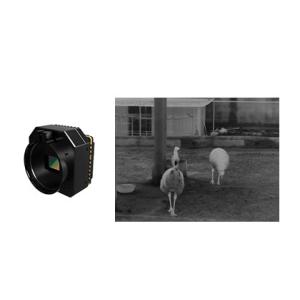 Uncooled Infrared Thermal Security Monitoring Camera Module With Optional Lens