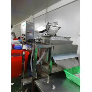 Shrimp whisker separation machine Seafood Processing Factory Batch Shrimp