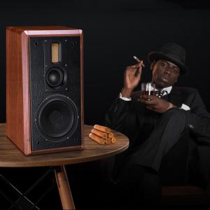 Customized 8 Inch Bookshelf Passive Speakers 3 Way Multifunctional